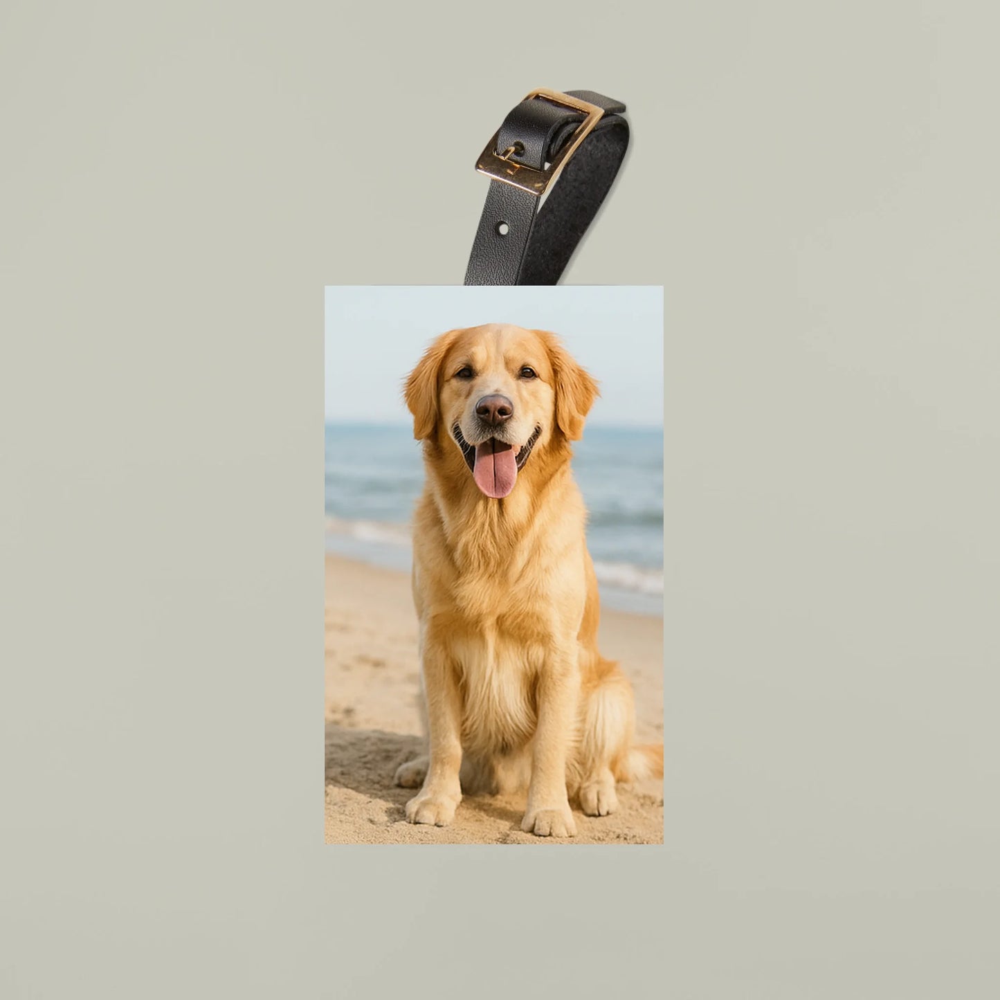 Luggage Tag